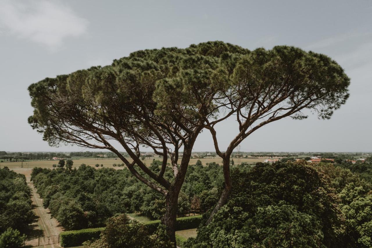 Agriturismo Villa Rosselmini Calci Luaran gambar